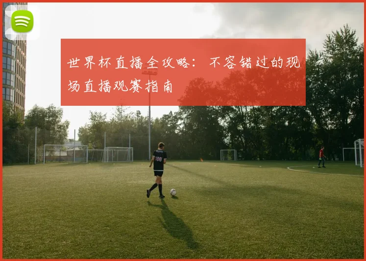 世界杯直播全攻略：不容错过的现场直播观赛指南