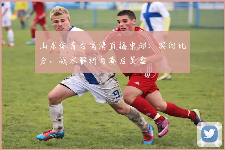 山东体育台高清直播中超：实时比分、战术解析与赛后复盘