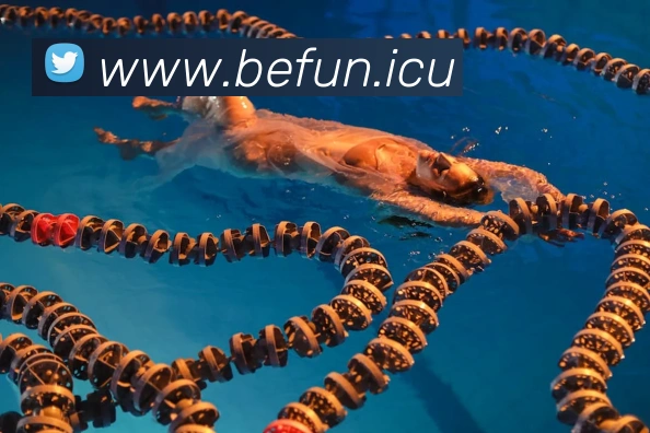 开运体育官网登录APP 高清赛事图